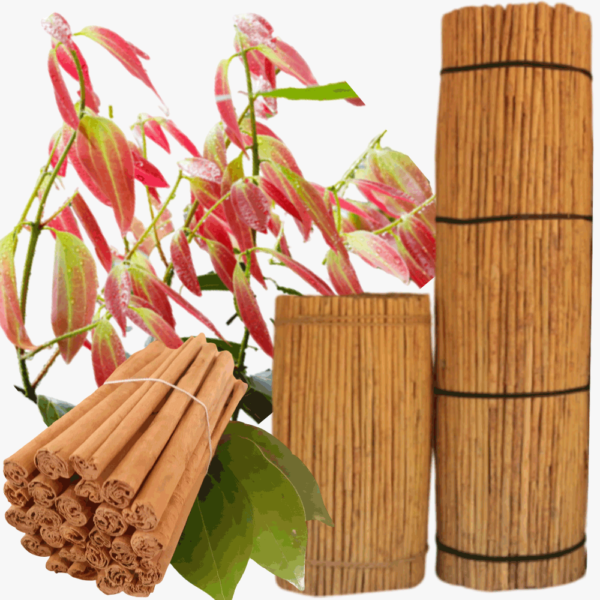 cinnamon sticks main
