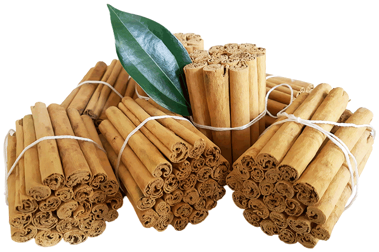 cinnamon cut pieces