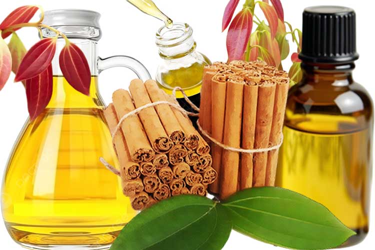 ceylon cinnamon essential oil