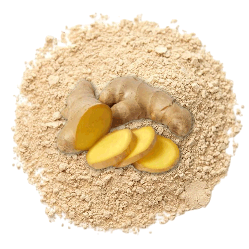 wholesale ginger