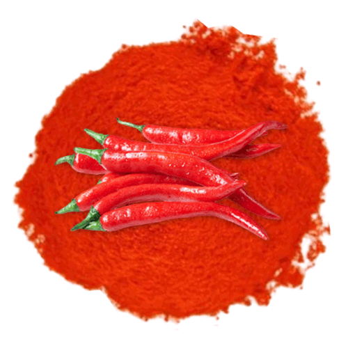 Wholesale Red Chili