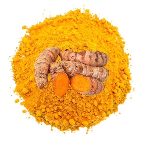 wholesale turmeric
