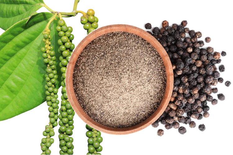 Black pepper powder