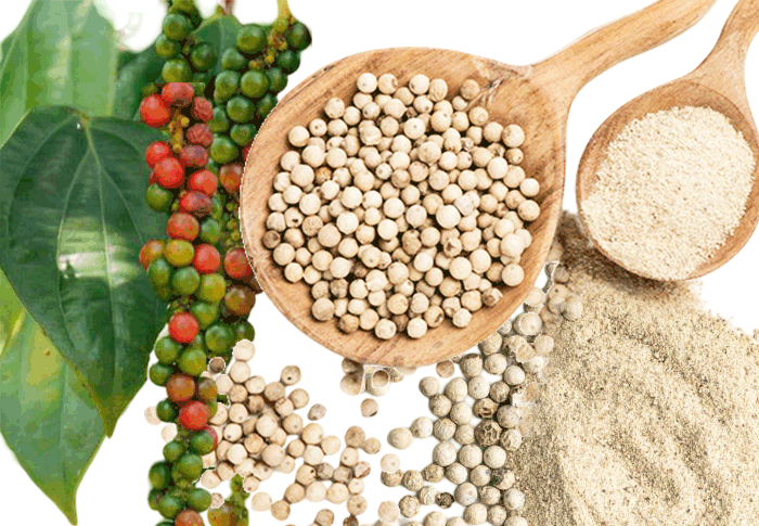 white pepper