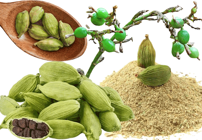 cardamom pods