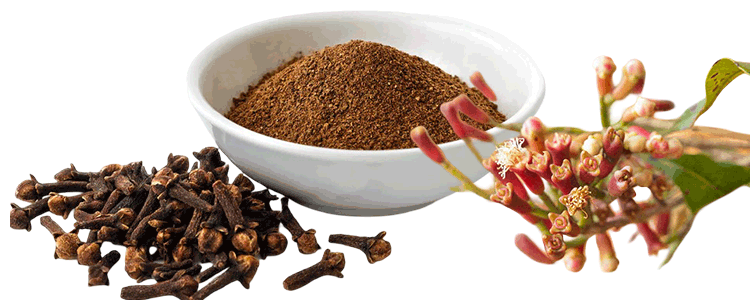 cloves