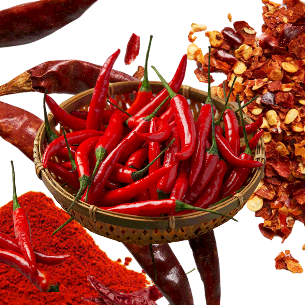 red chili main