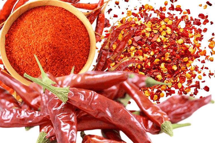 red chili bottom