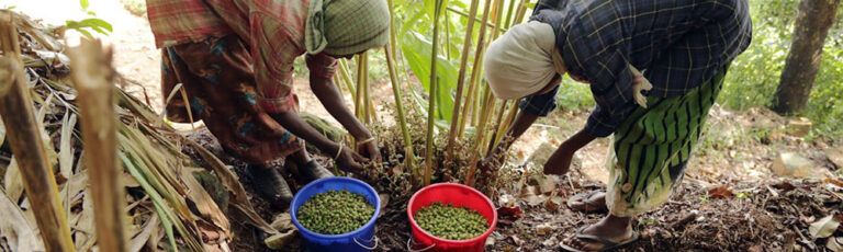 support local farmers