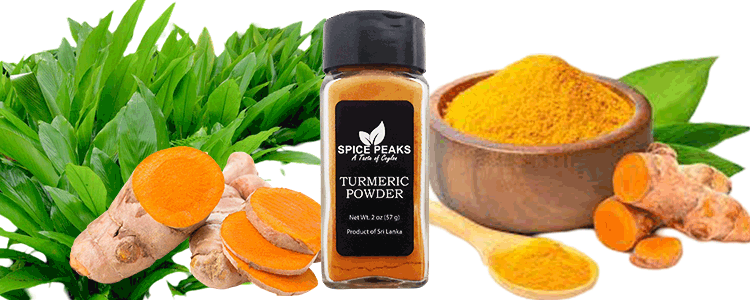 turmeric powder