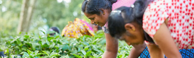 women in agriculture